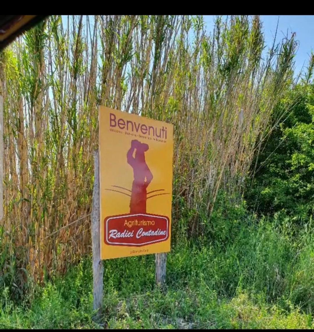 Bisaccia Agriturismo Radici Contadine מראה חיצוני תמונה
